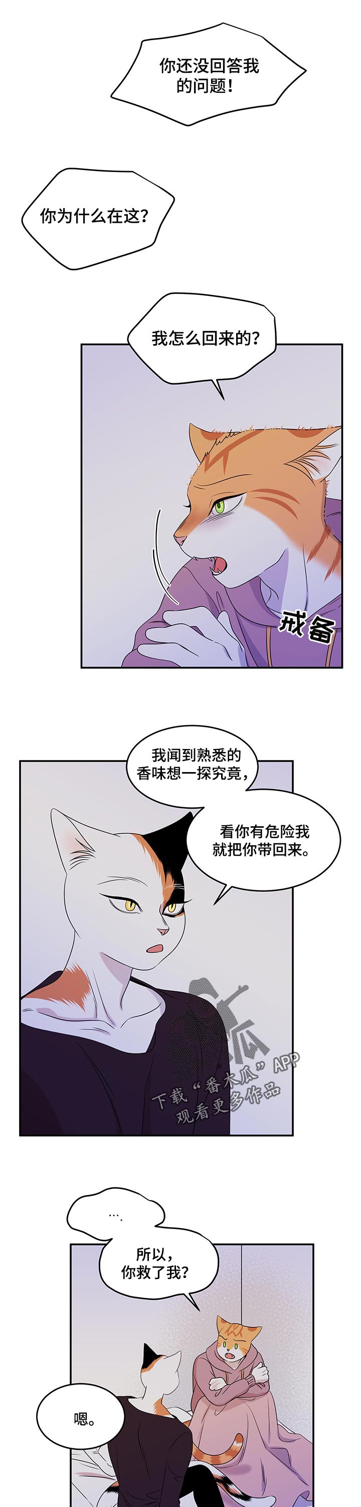 第30章：你到底是谁5