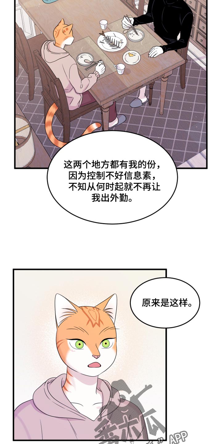 第73章：【第二季】绑架灵猫16