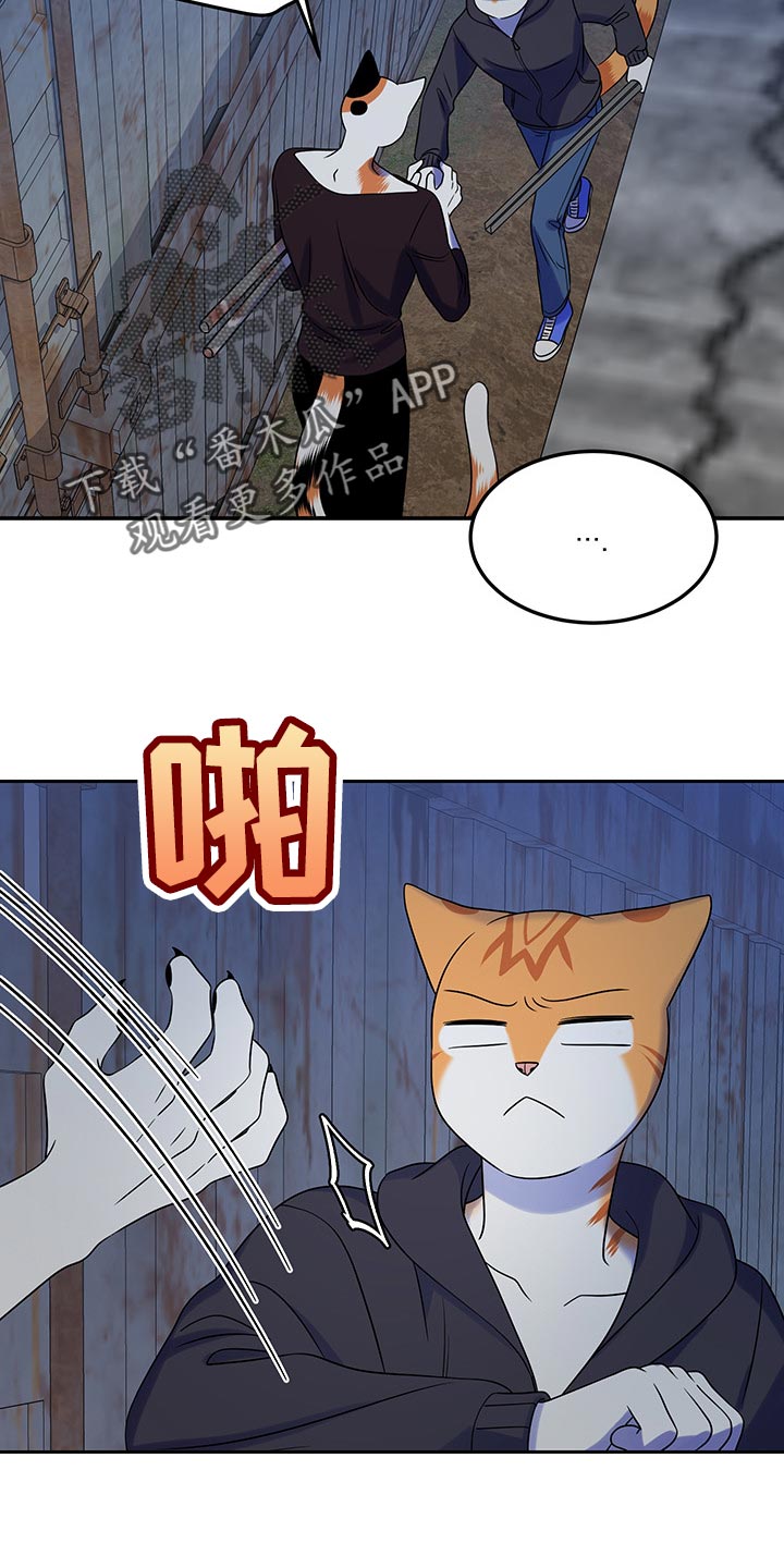 第36章：道歉4