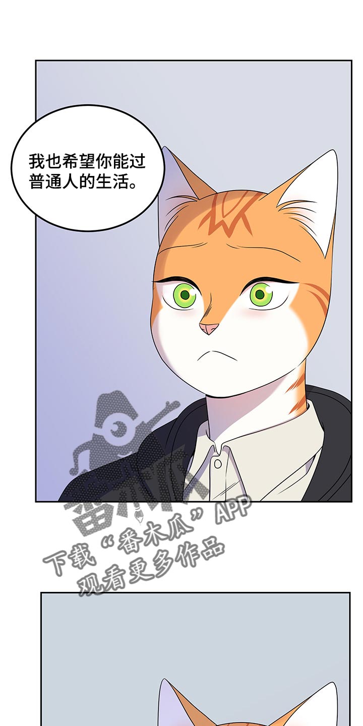 第44章：我们回家吧13