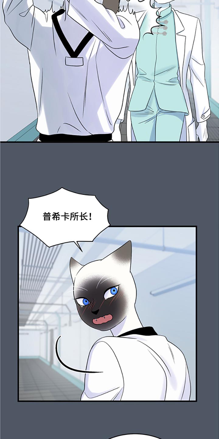 第77章：【第二季】一定要在一起！9