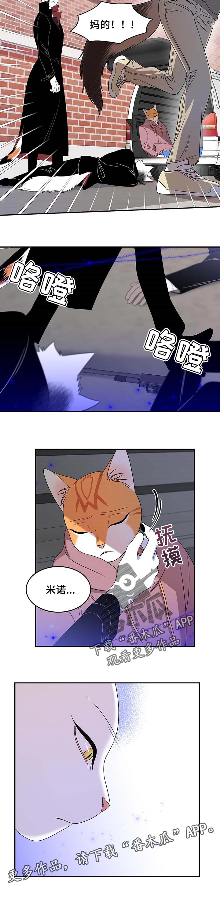 第28章：奇特7