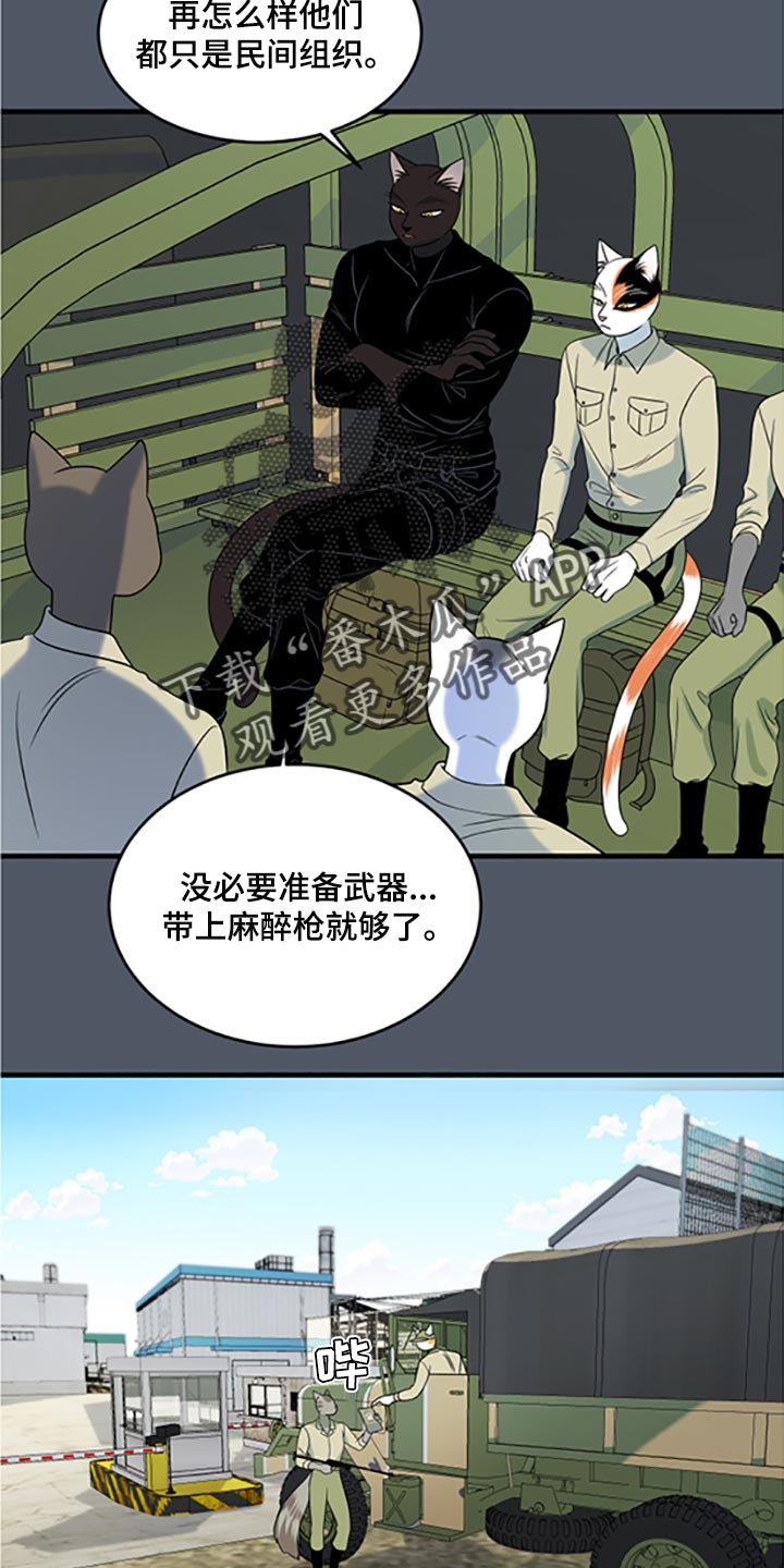 第79章：【第二季】傻瓜13