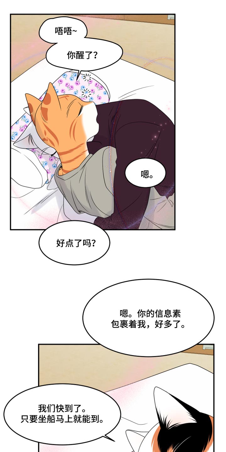第54章：【第二季】你要丢下我?11