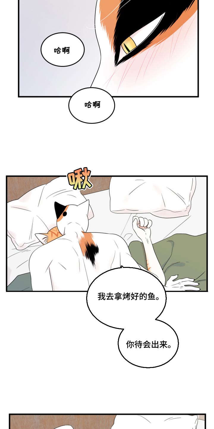 第73章：【第二季】绑架灵猫1