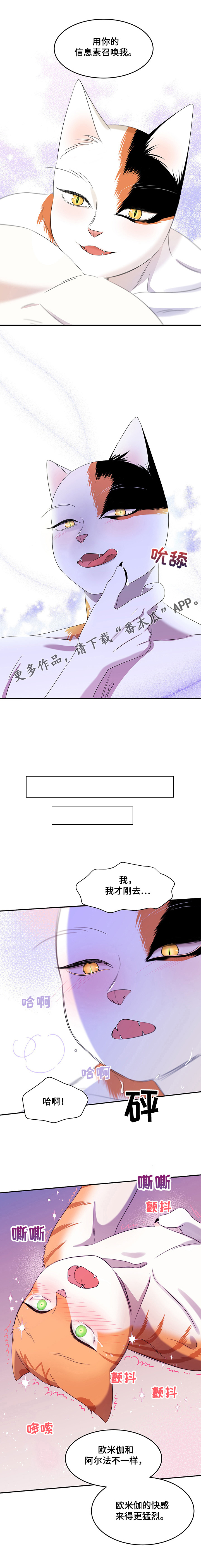 第13章：教我11