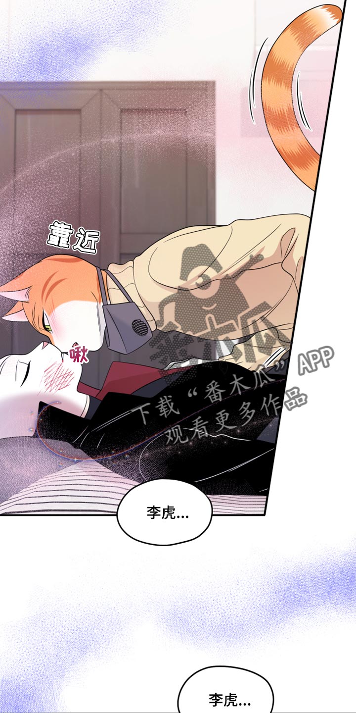 第51章：决定20