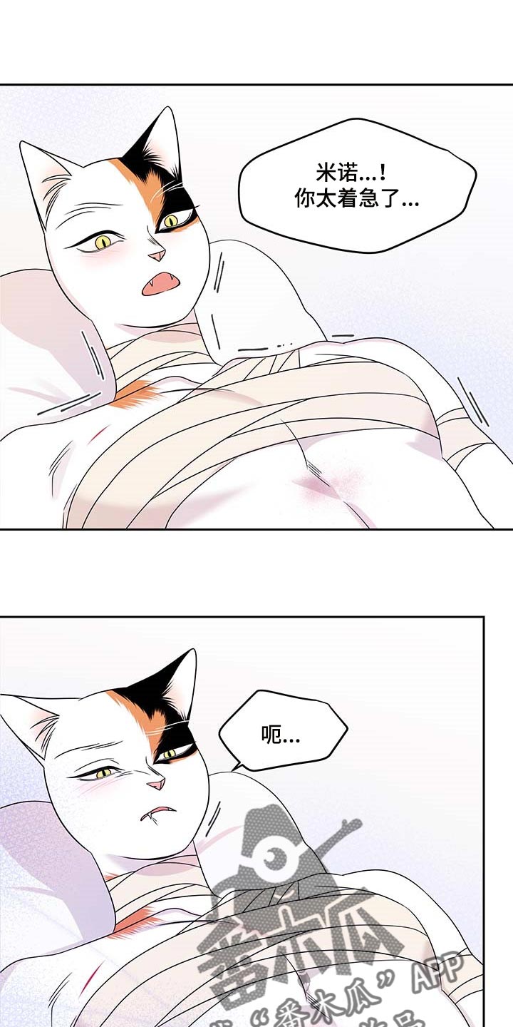第46章：征服11