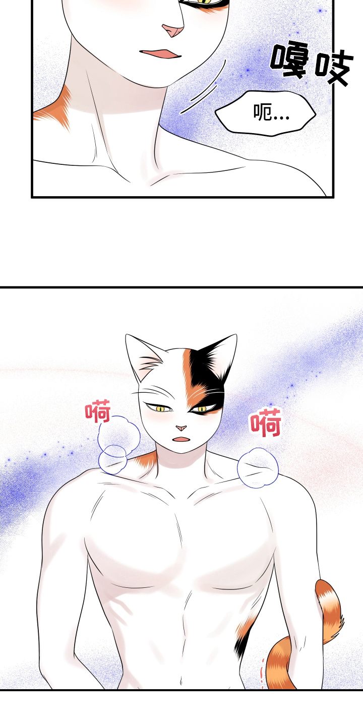 第105章：【第二季】分析2
