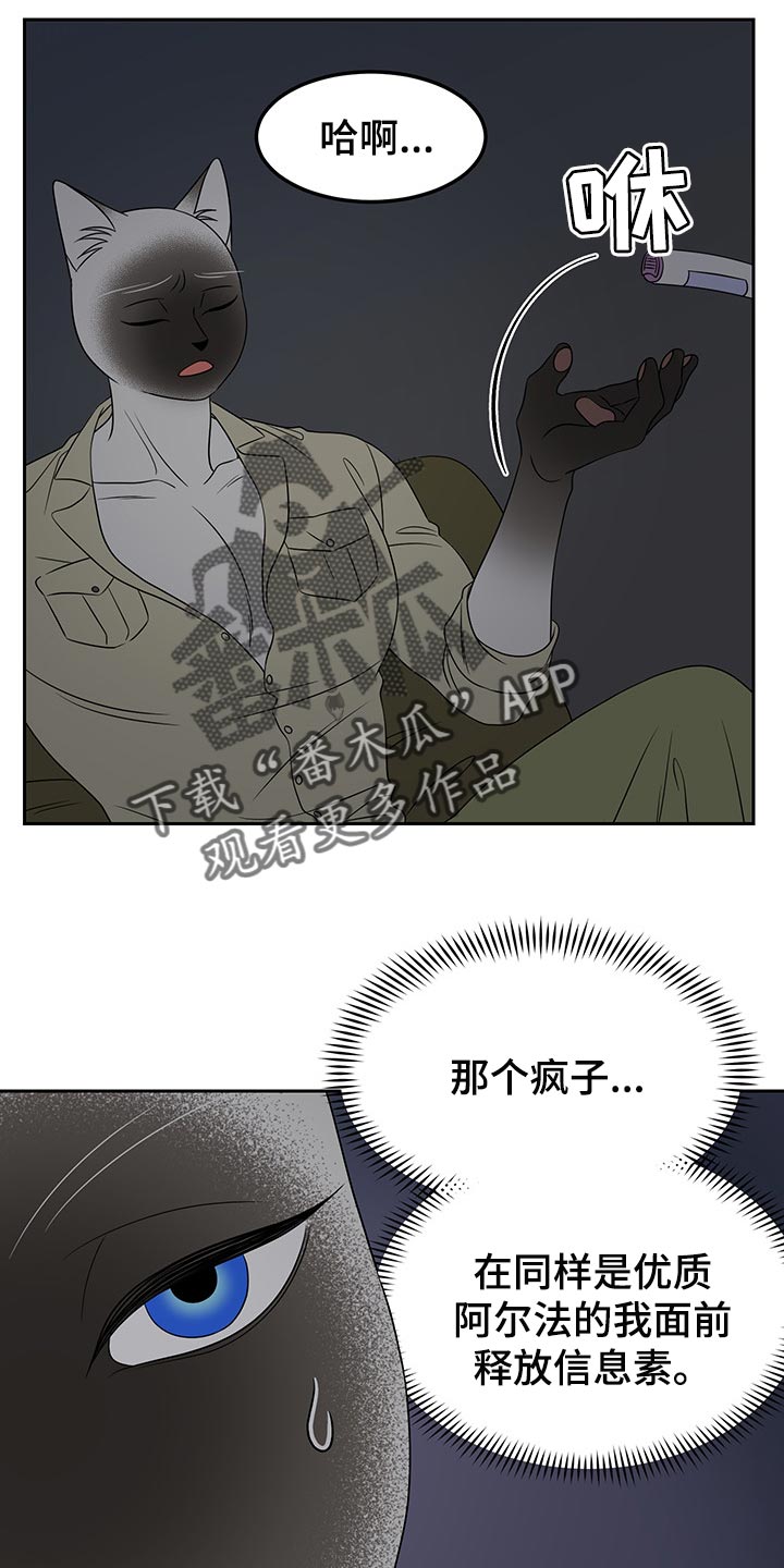 第40章：平凡的生活3