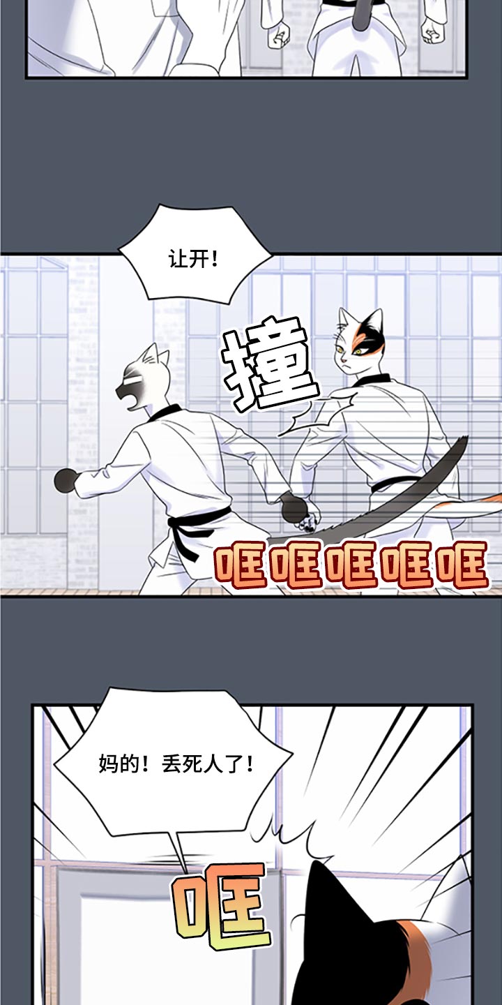 第77章：【第二季】一定要在一起！4