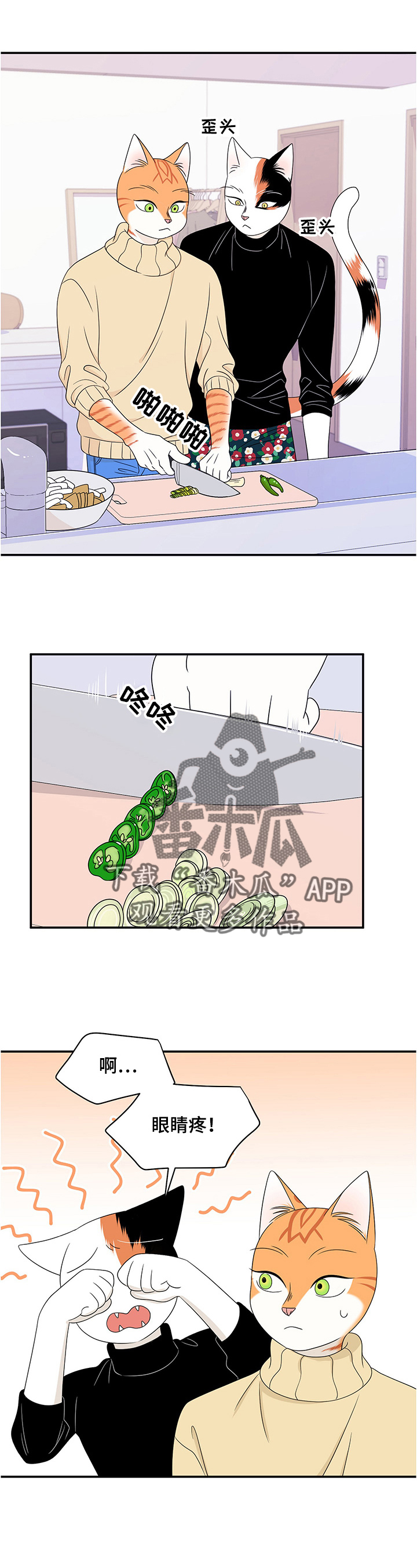 第10章：期待8