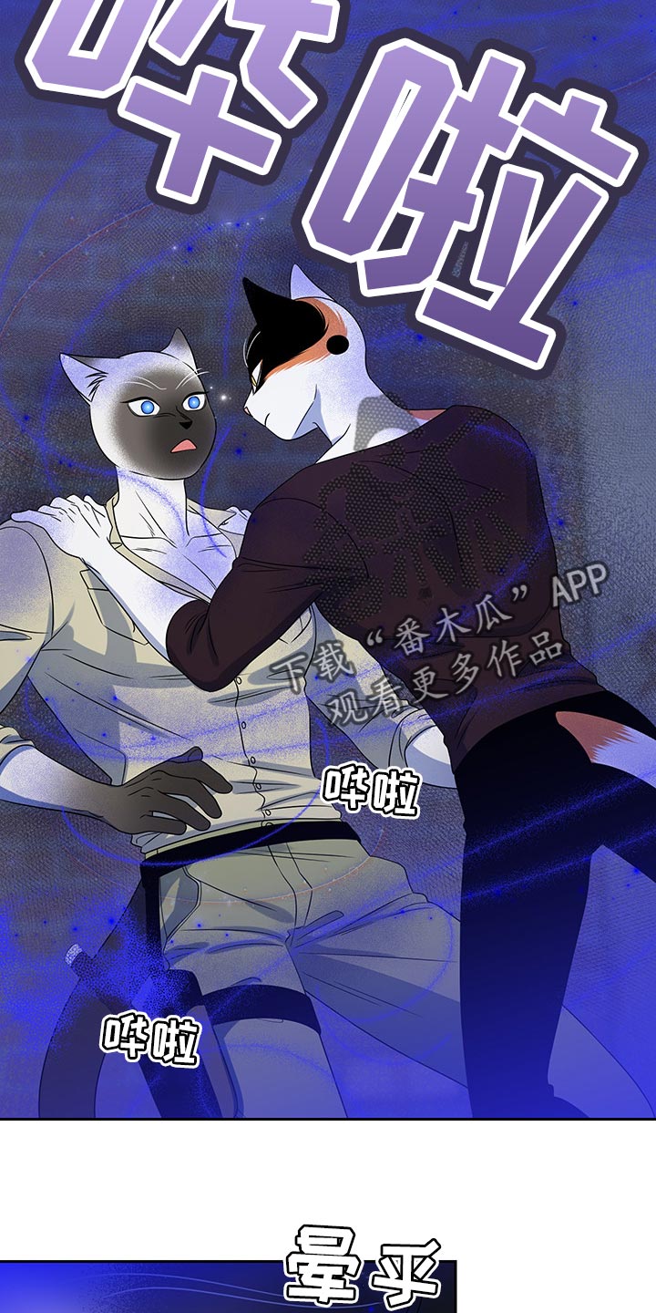 第39章：撤离15