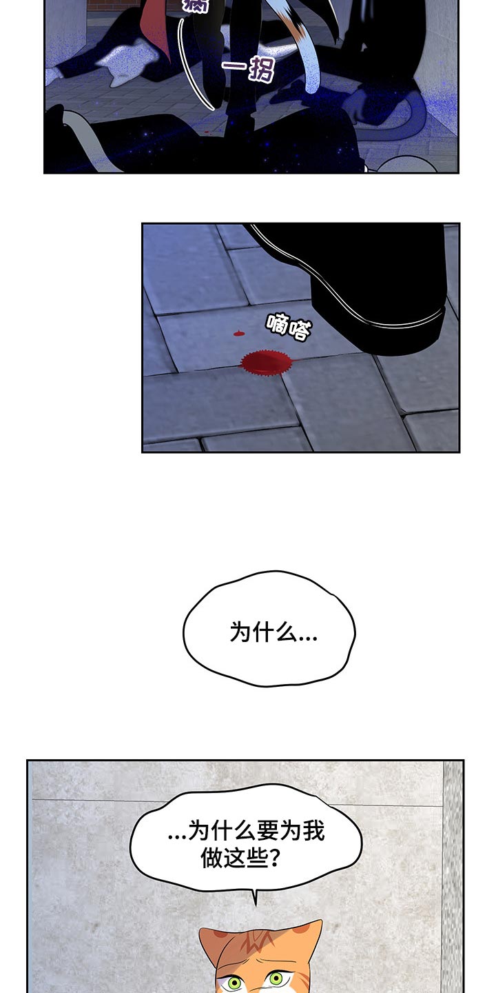 第44章：我们回家吧9
