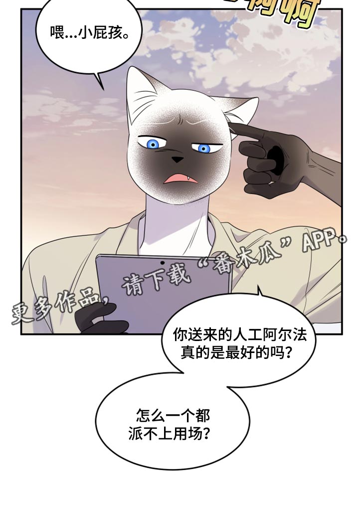 第56章：【第二季】人工阿尔法20