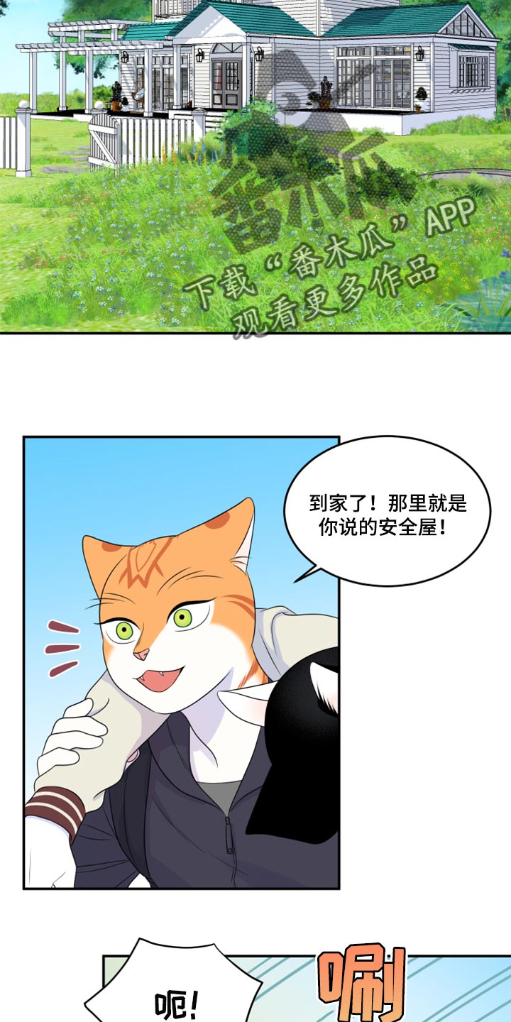 第60章：【第二季】失去理智19