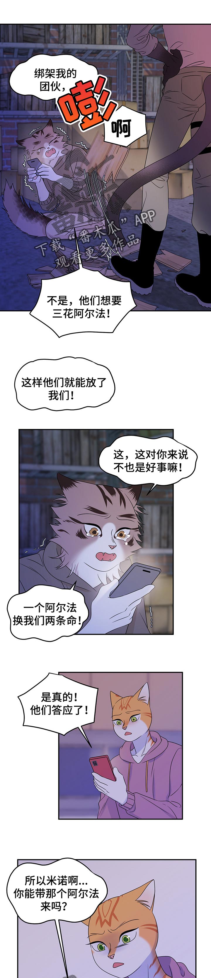 第33章：因果报应5