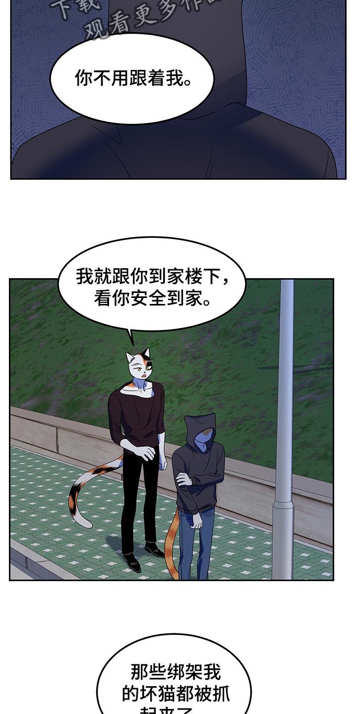 第40章：平凡的生活17