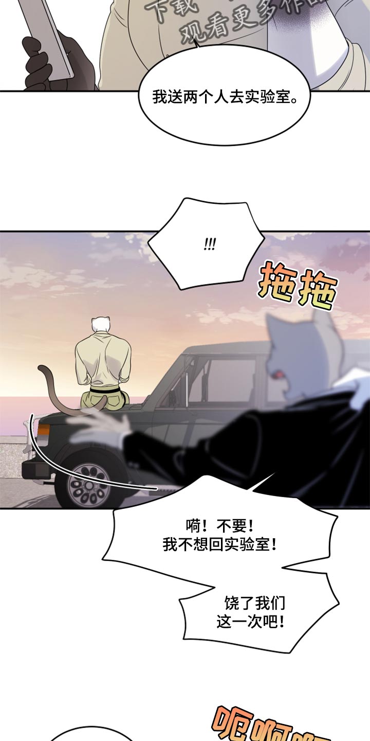 第56章：【第二季】人工阿尔法19
