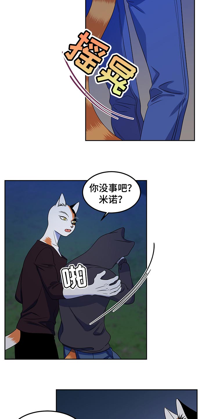 第40章：平凡的生活13