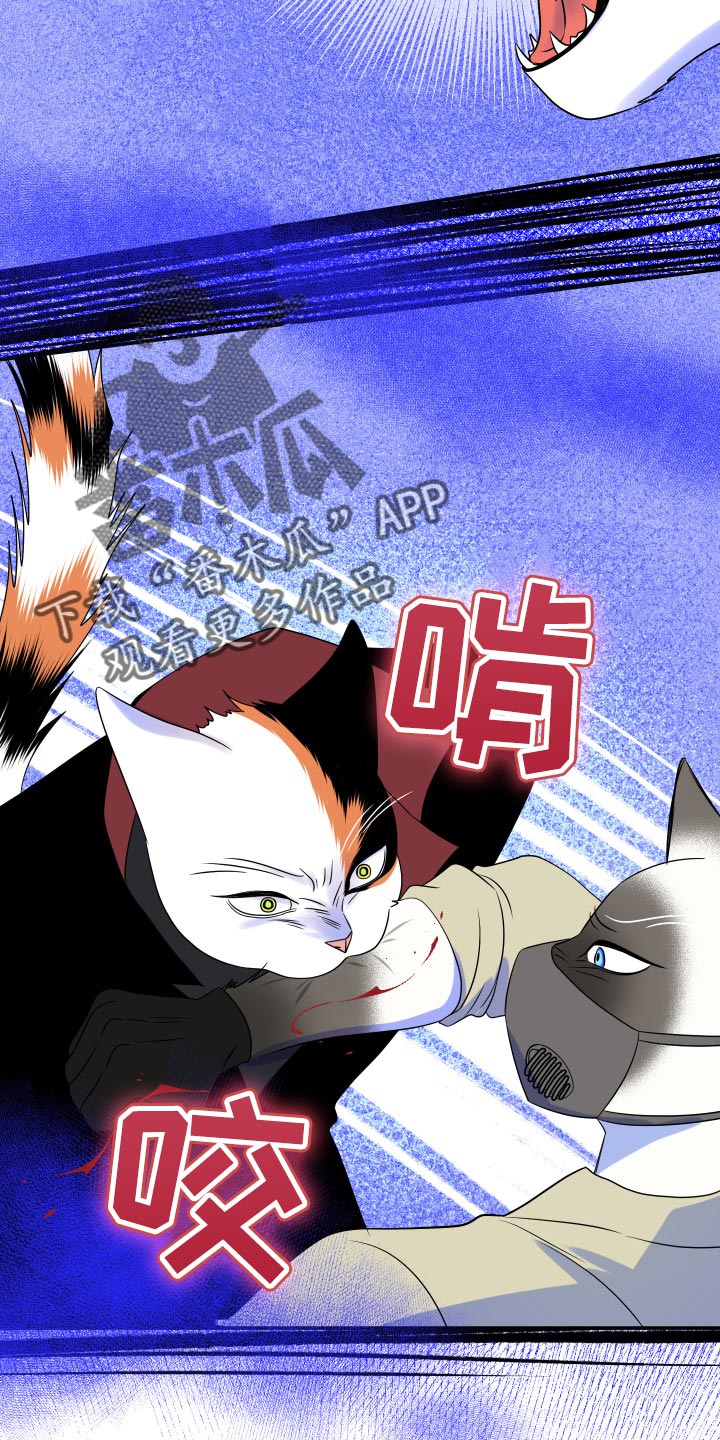 第50章：恶斗9