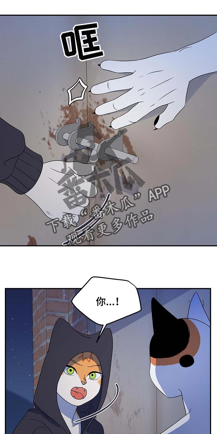 第37章：我很强的2