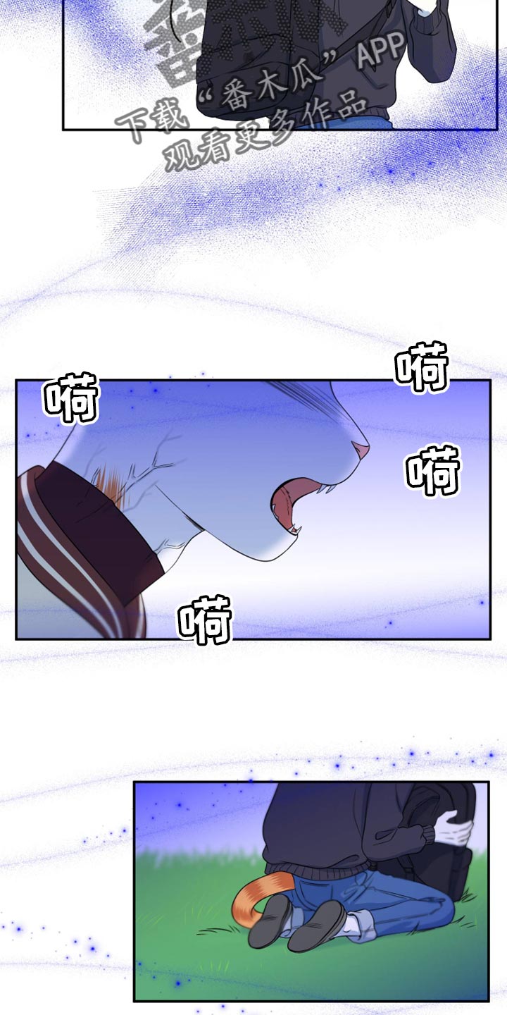 第61章：【第二季】不想伤害他8