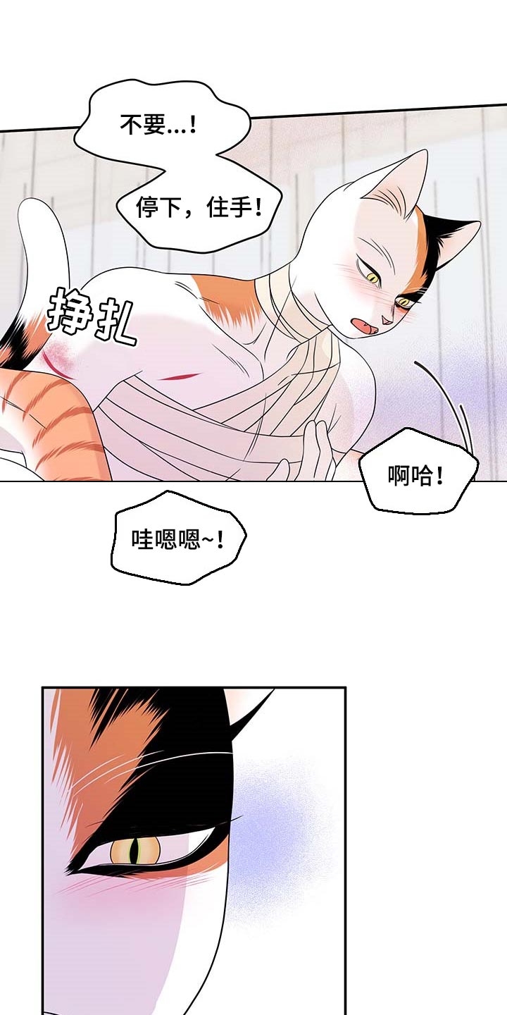 第47章：好好看着你12