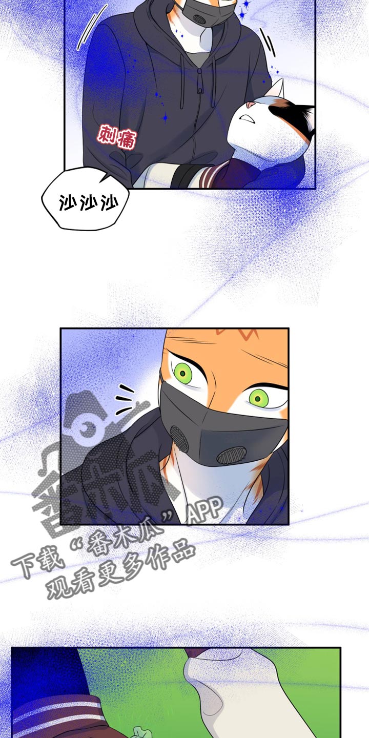第62章：【第二季】撑过这一次就行17