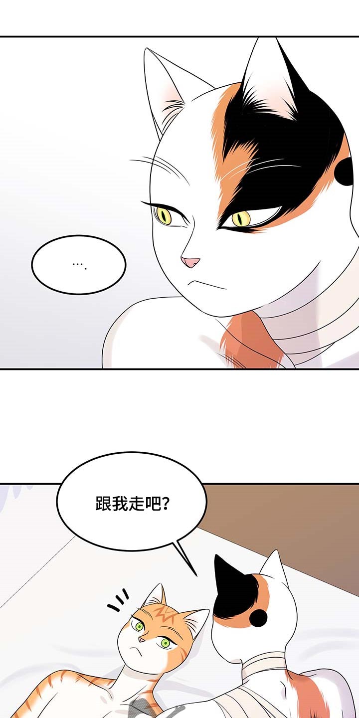 第48章：你慢慢考虑4