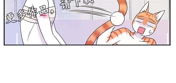 第47章：好好看着你20