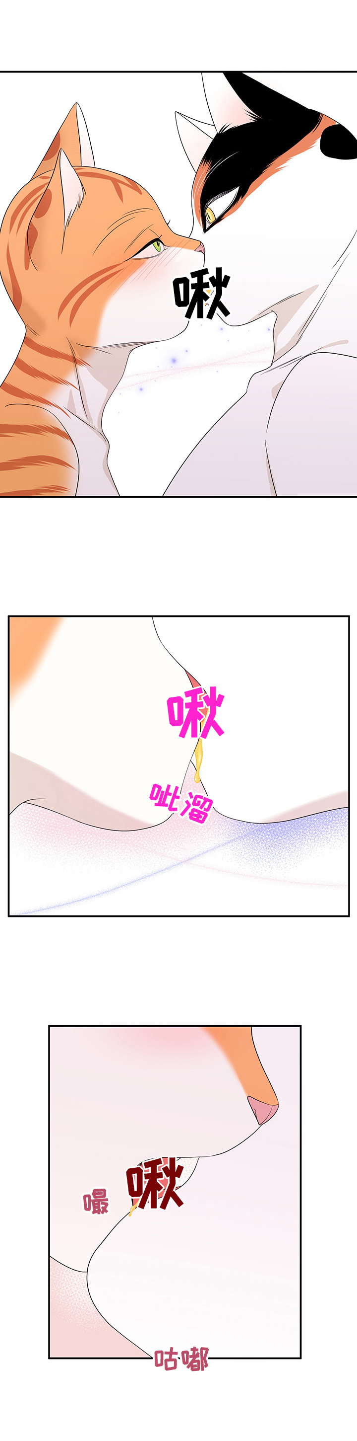第15章：看电影0