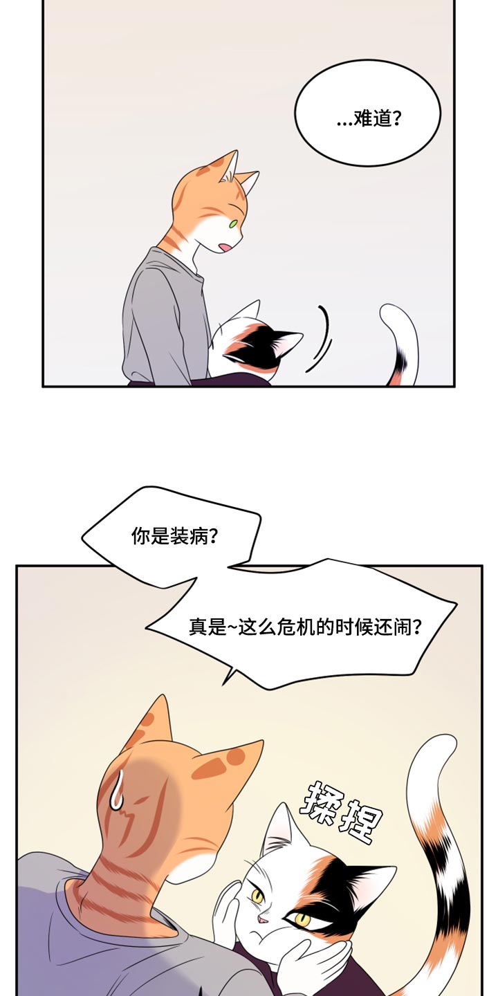 第54章：【第二季】你要丢下我?22