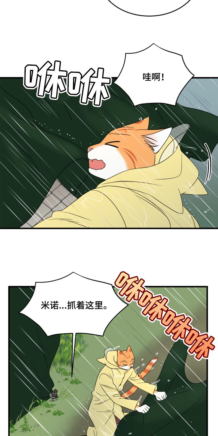 第88章：【第二季】台风5