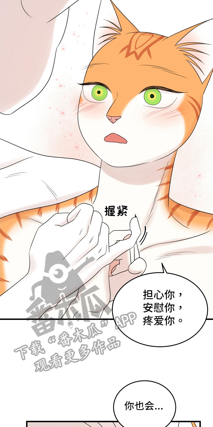 第106章：【第二季】求婚5