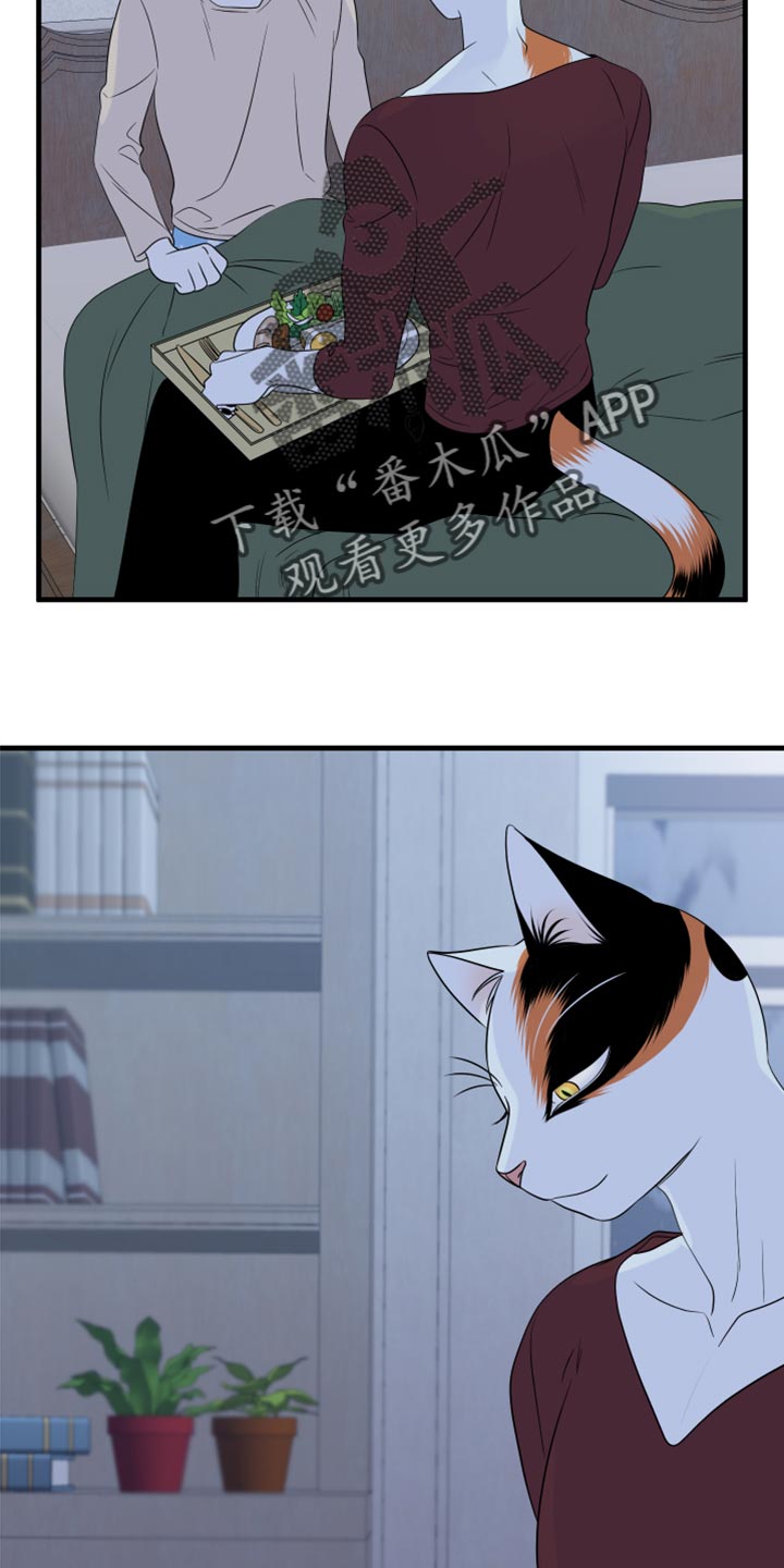 第66章：【第二季】你可以放心了17