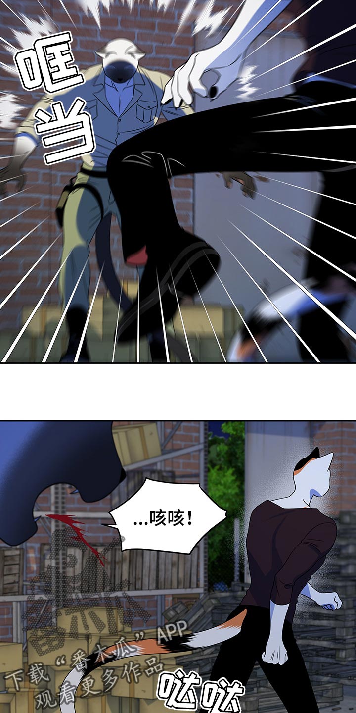 第39章：撤离17