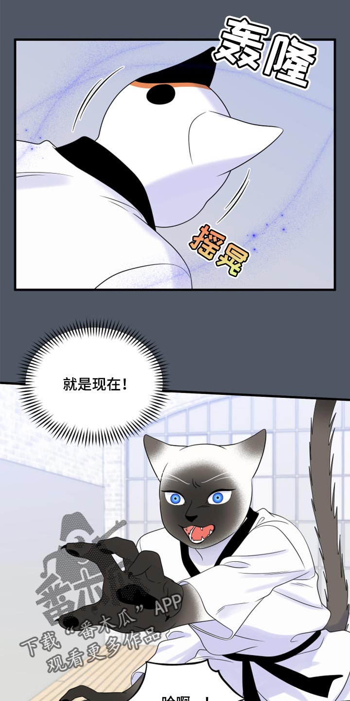 第76章：【第二季】有什么特别5