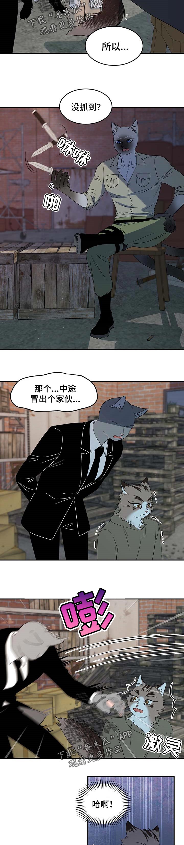第31章：叫他出来1