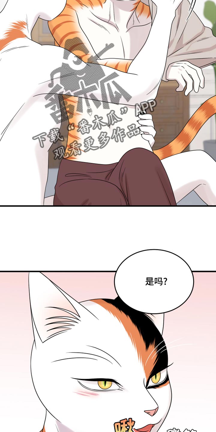 第91章：【第二季】暴走之前7
