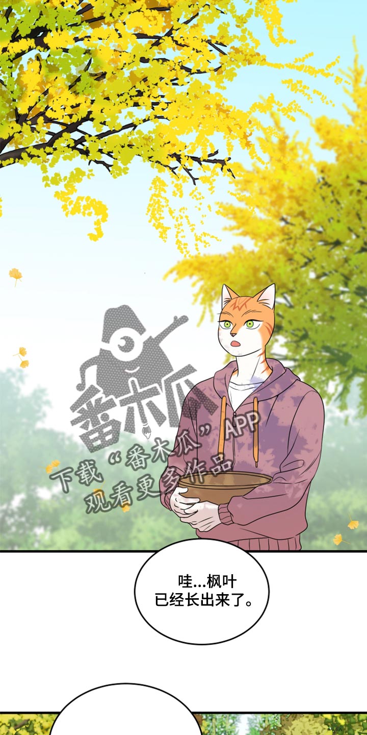 第92章：【第二季】改变的勇气18