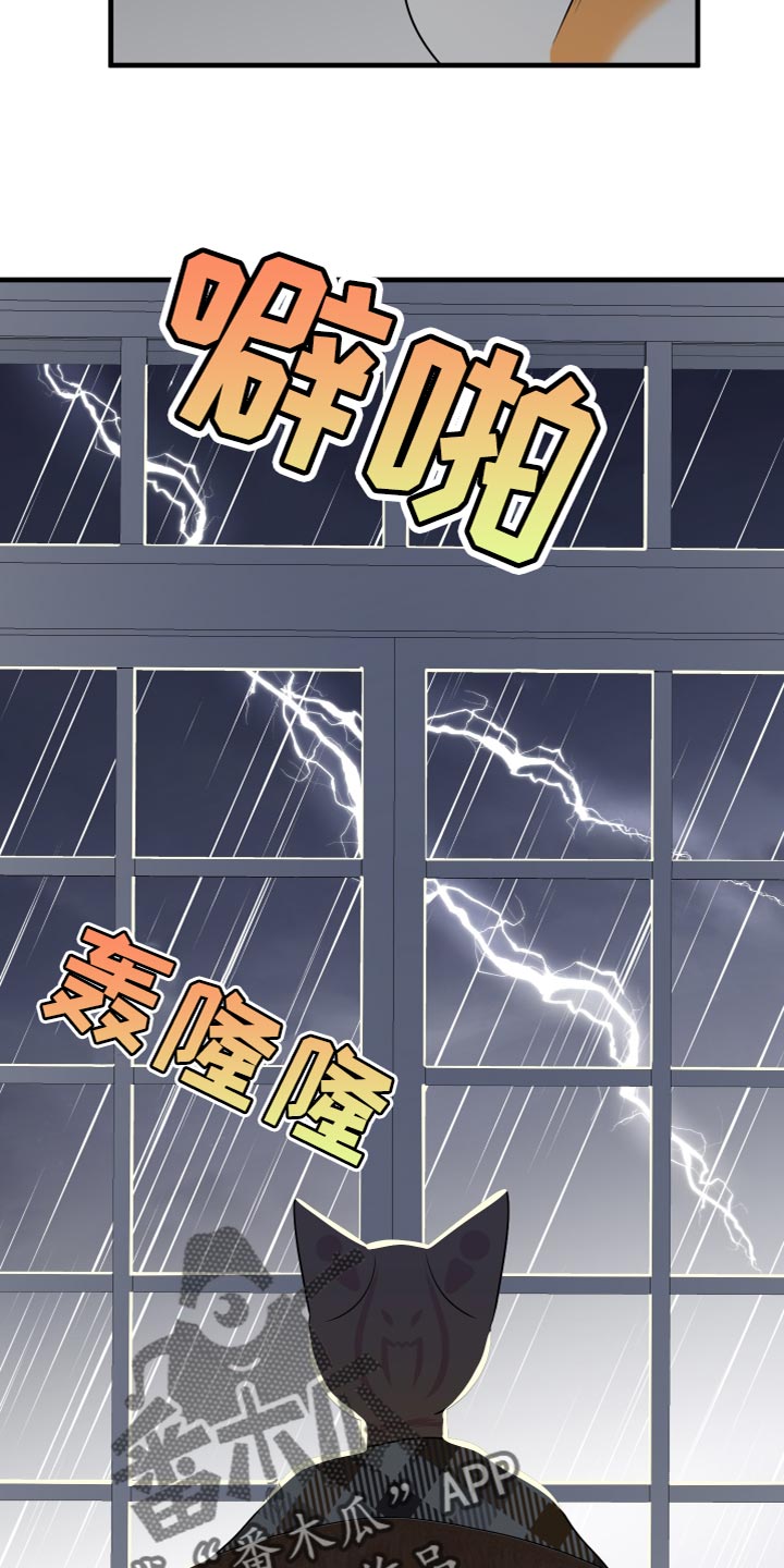第109章：【第二季】我要回岛上4