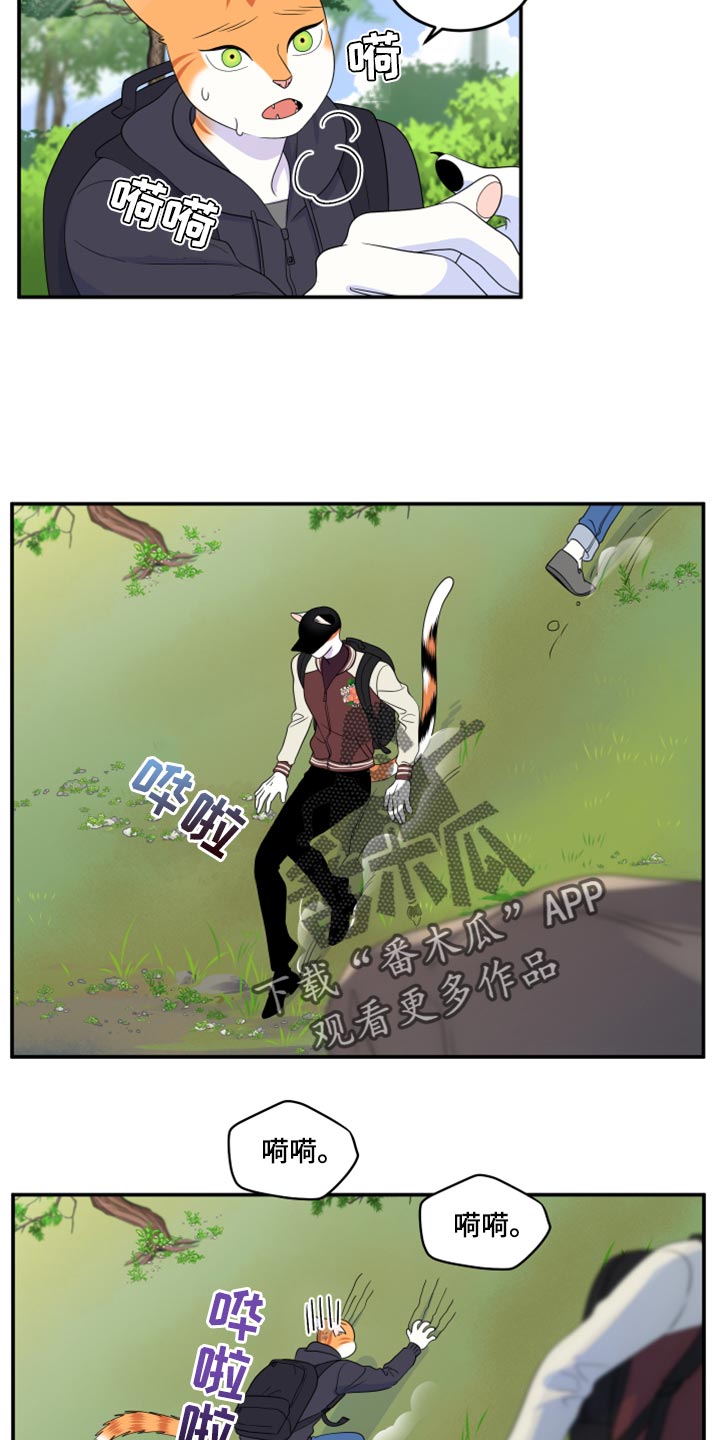 第60章：【第二季】失去理智1