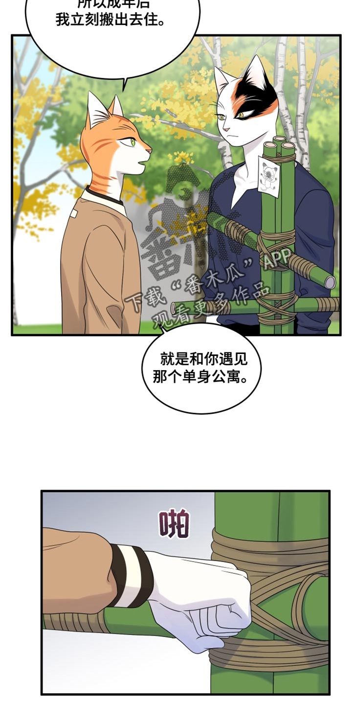 第98章：【第二季】想回去6