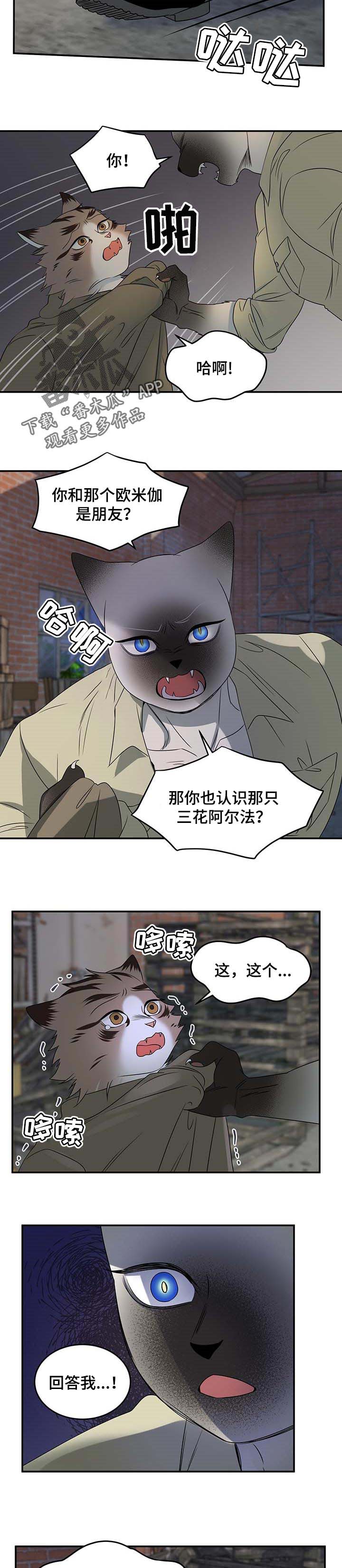 第31章：叫他出来4