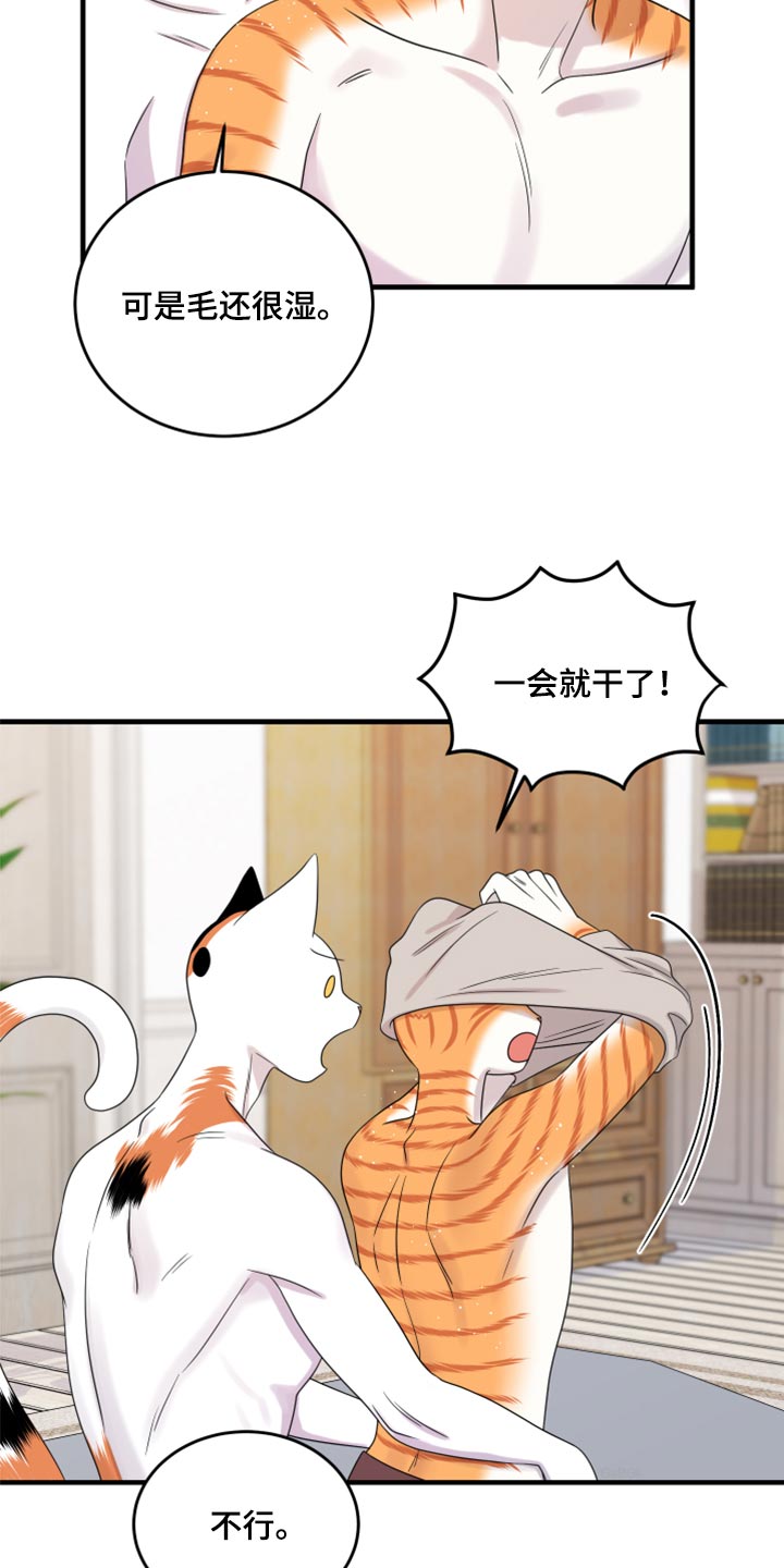 第90章：【第二季】想得太乐观18