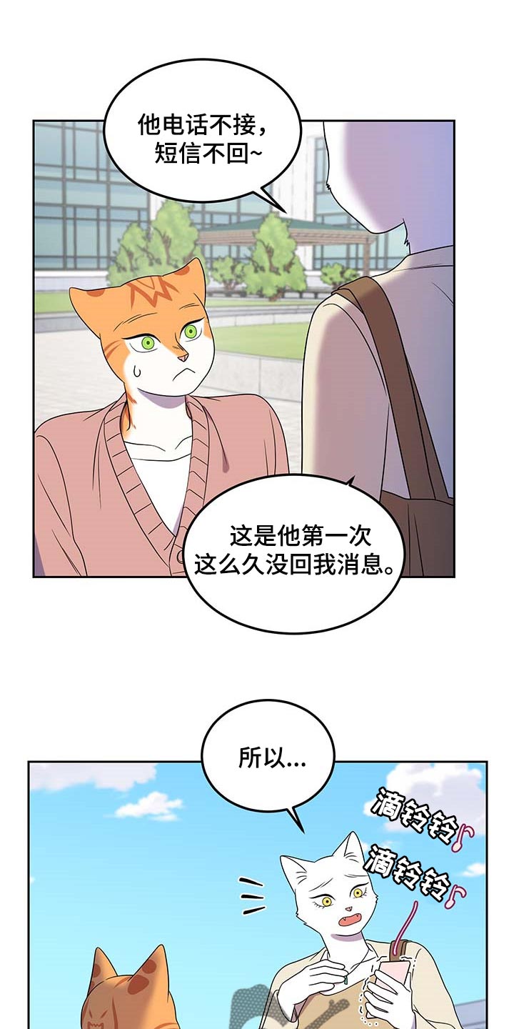 第42章：联系方式0