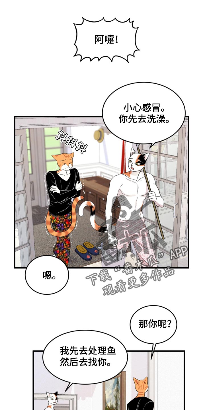 第69章：【第二季】责任与义务0