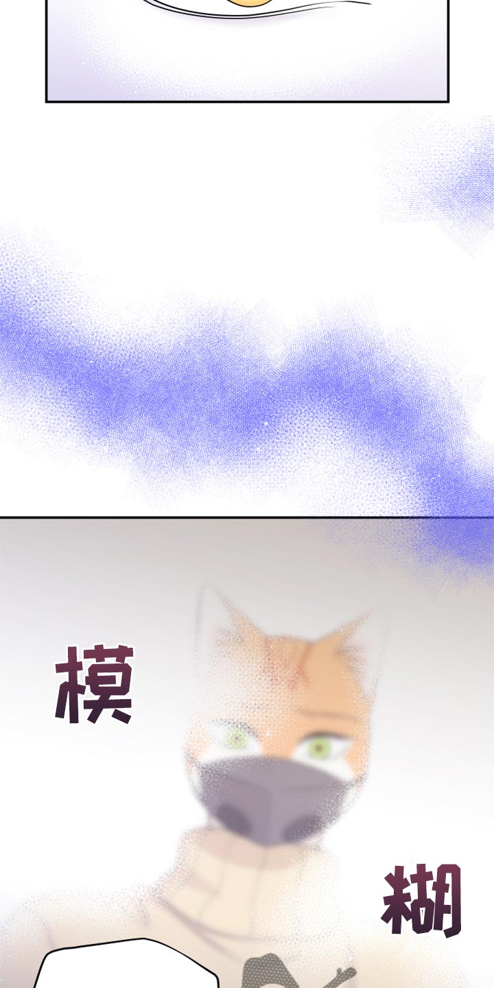 第52章：我的人生我做主（第一季完结）10
