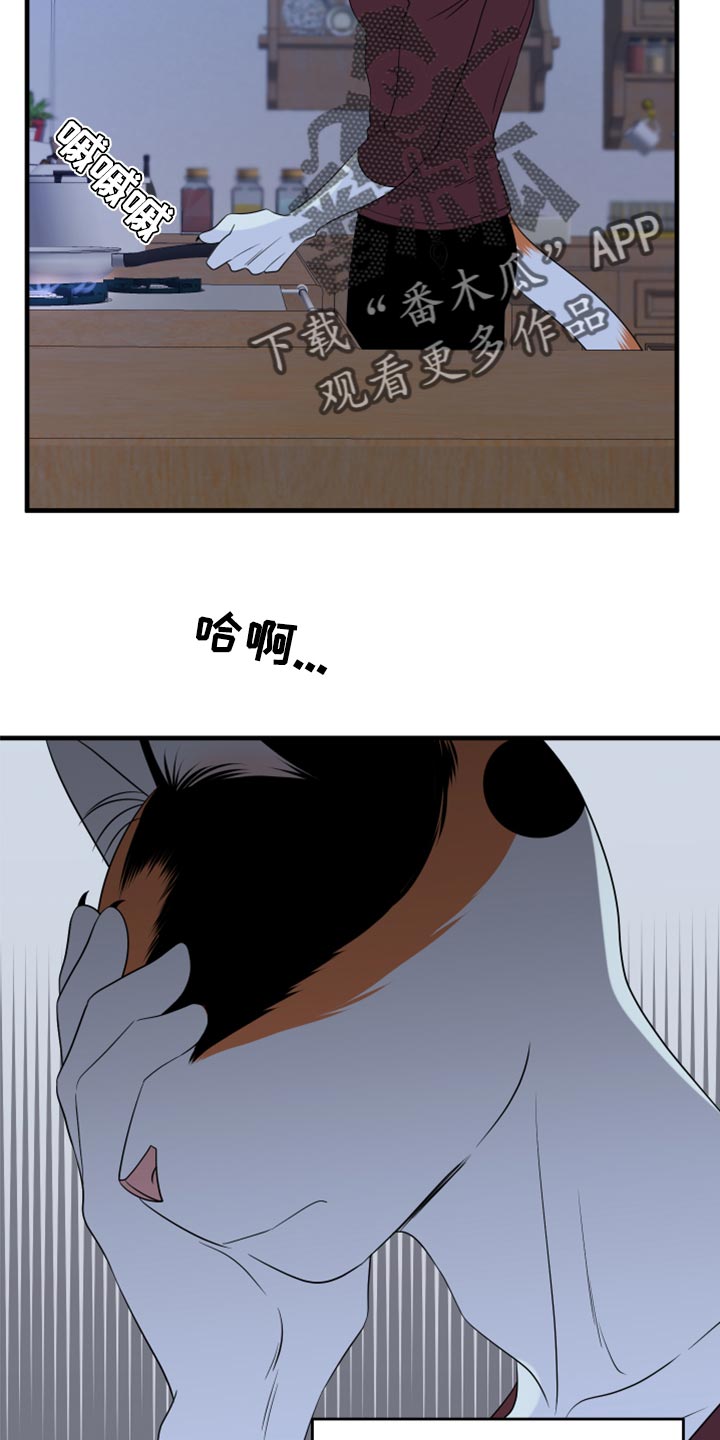 第66章：【第二季】你可以放心了11